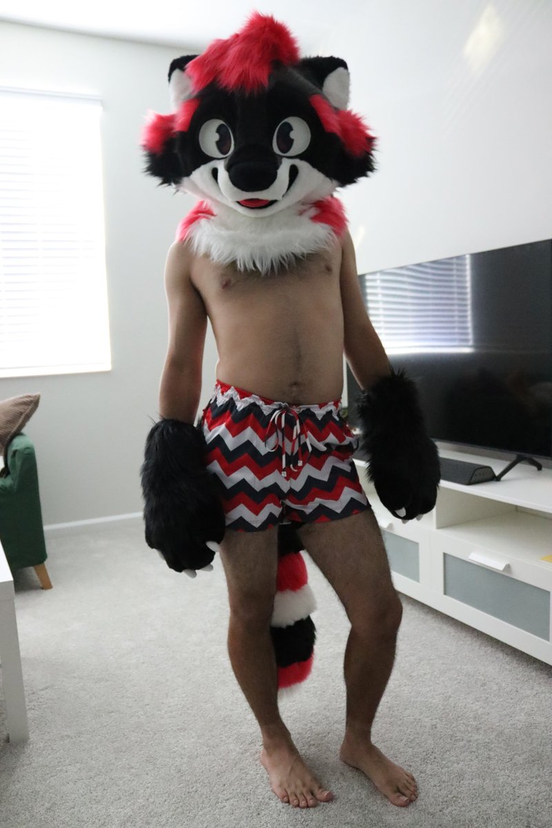 Astrolightblaze's tweet photo. Raccoon is staring at you, what do you do? https://t.co/YChH4SPbnt