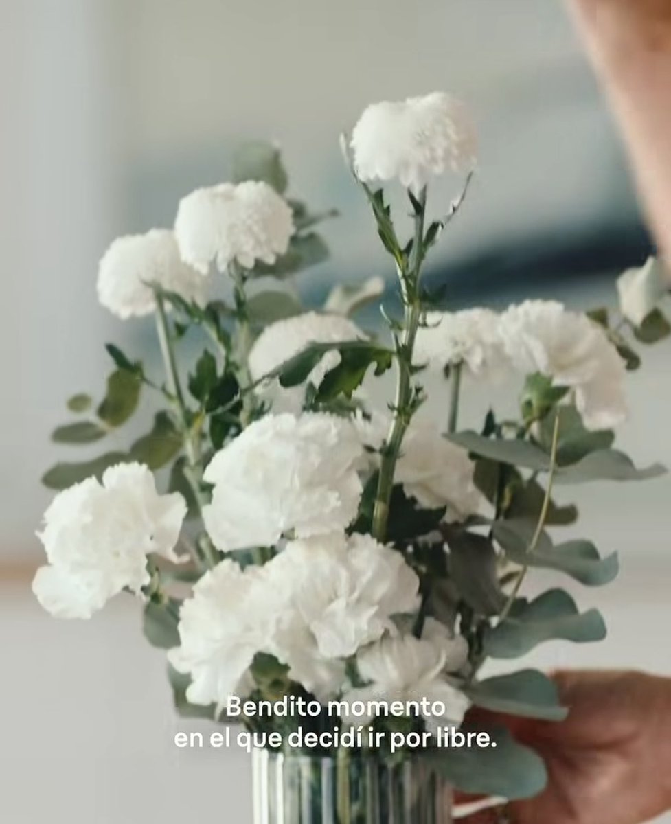 hectorfelix93's tweet photo. Bendito momento en el que decidí ir por libre.

Este comercial lo es todo. La referencia a lo que te conté mientras te hacías la dormida. Las rosas. 
El decir que decidió ir por libre… todo. Me ha encantado. Es que eres grande @LeireMo https://t.co/y4Kc1BLsJj