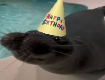sillywaver's tweet photo. the day has arrived https://t.co/uzkBvcIDgz