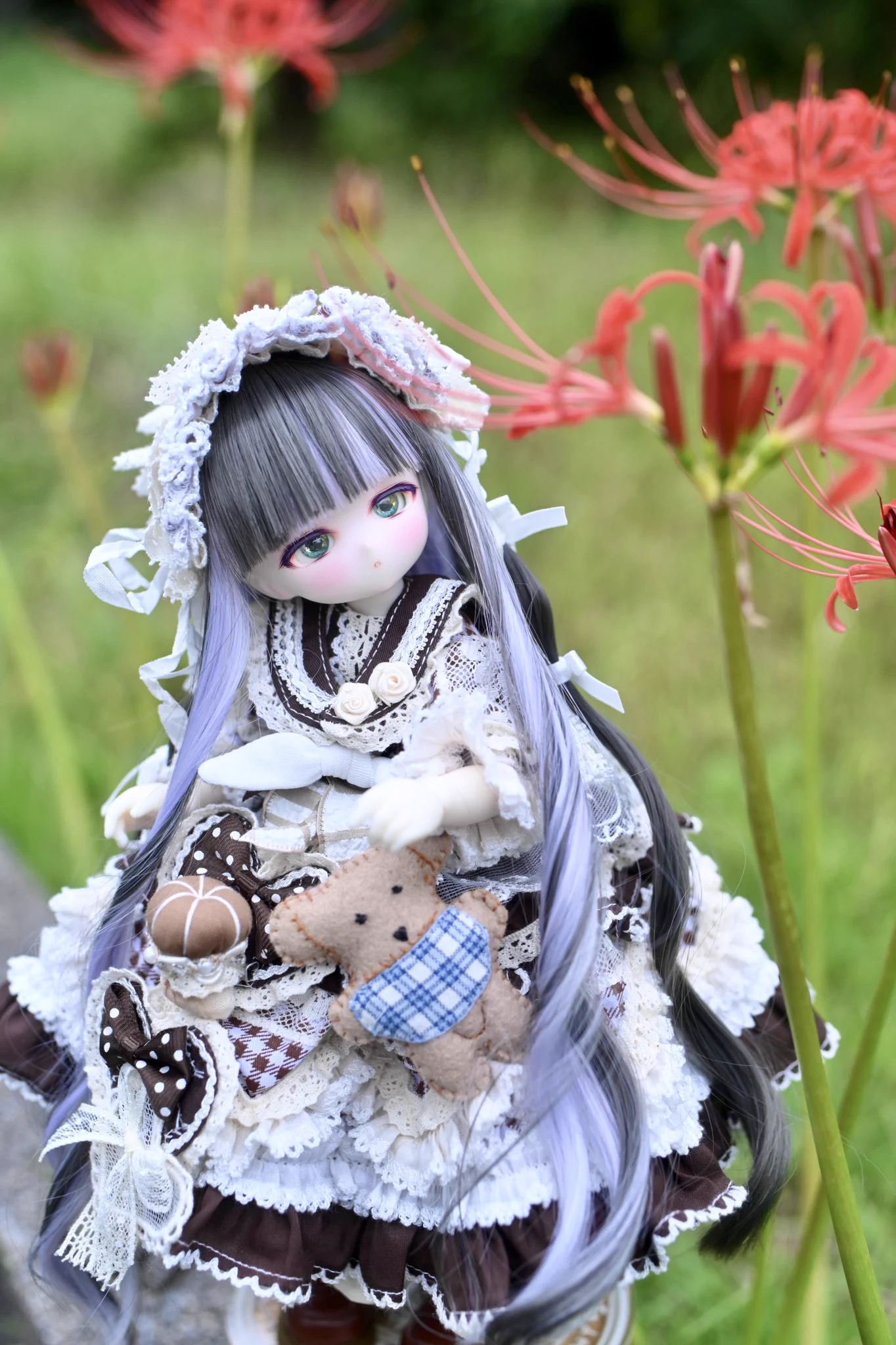 Yutaka000 on X: "#おはドル #うちのこかわいい #tinyfox おはようございます☀ 火曜日、国民の休日ですね🎌 本日も ...