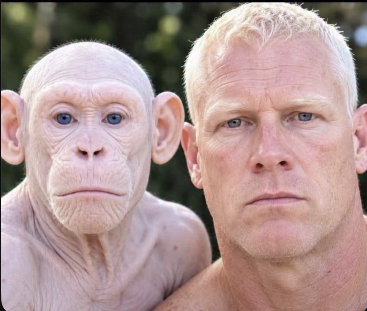 favoritefriendd's tweet photo. @BGoodun76420 Don’t forget the chimpanzee lol https://t.co/LRHs9grlbs