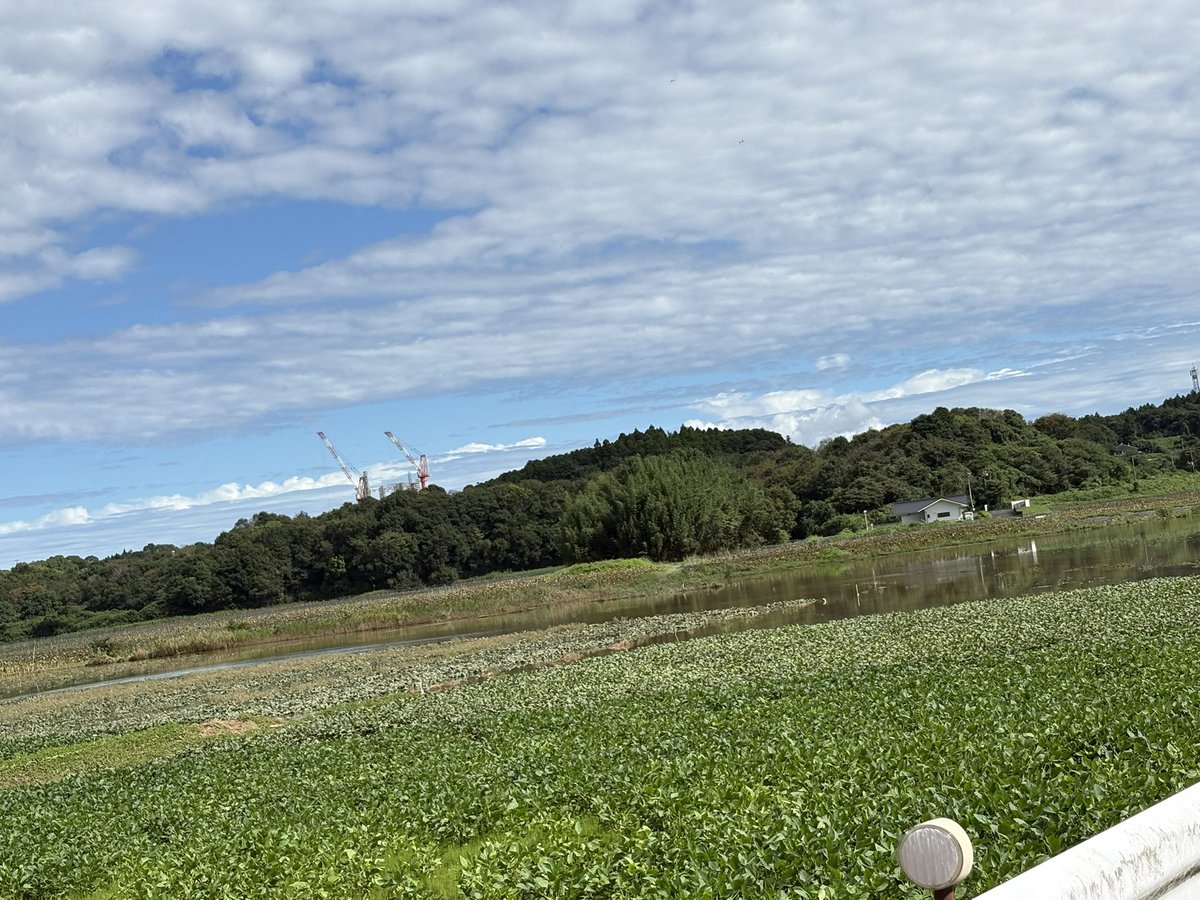 Torippy86's tweet photo. いつもウォーキングしている田んぼ道水没して歩けない😢#イマソラ https://t.co/RqyIW3YoaX