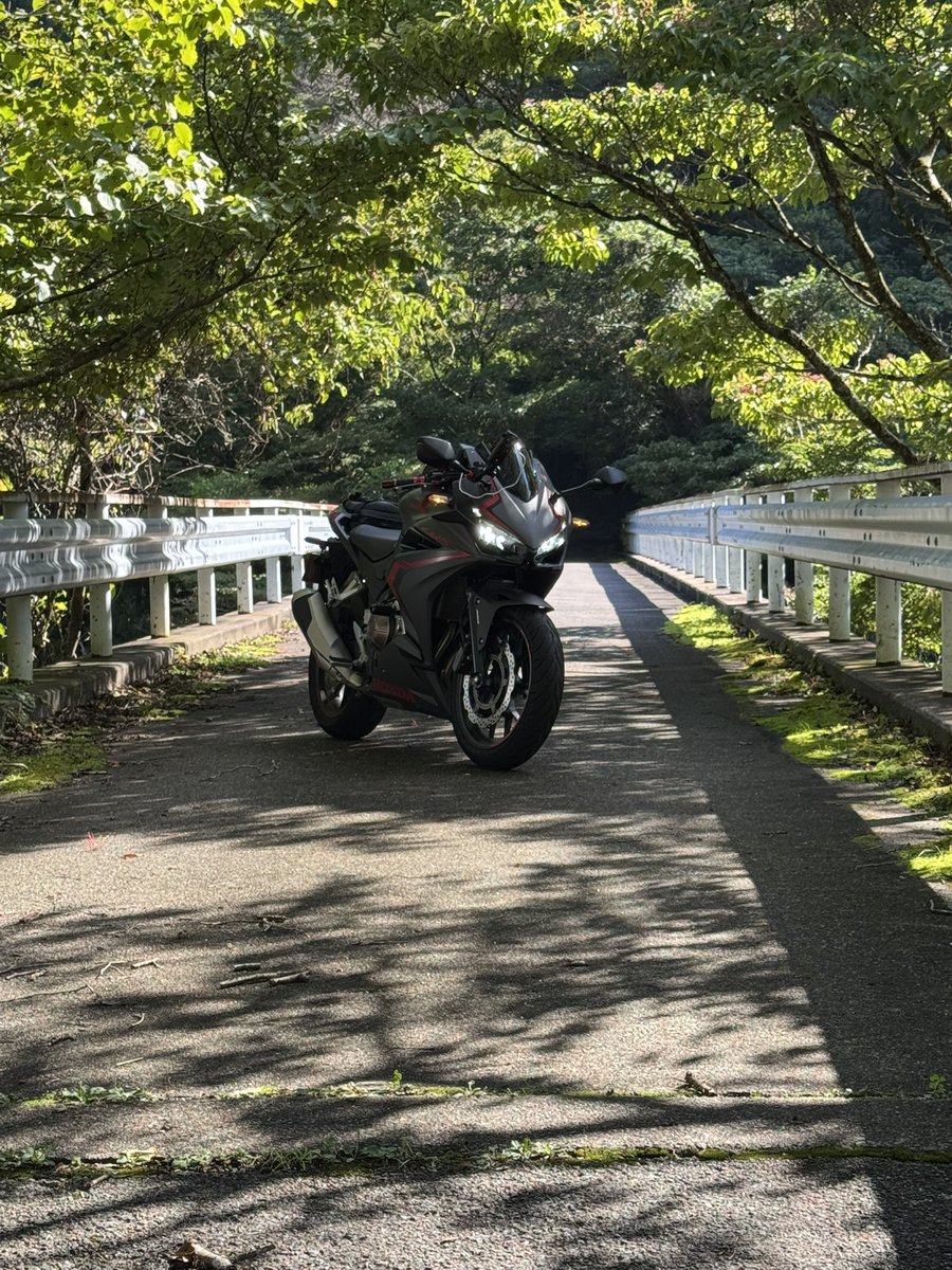 chuunennothuki's tweet photo. 鈴鹿スカイラインの終点看板がある所の脇道 https://t.co/3PklNNqqk9