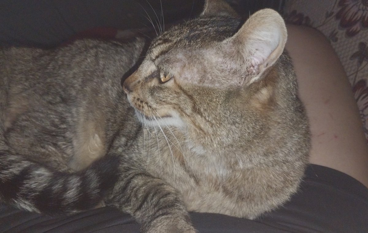 Sleepmodekid's tweet photo. Solo el amor de mi vida en diferentes ángulos, es una señora de 9 añitos (≧◡≦) ♡ https://t.co/jUZ63XnDDe