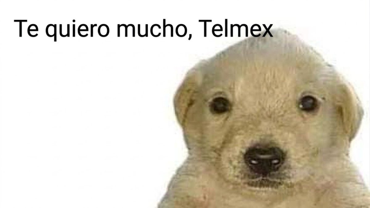 151MaxY's tweet photo. @Telefonia_S https://t.co/5zX2tE0KM6