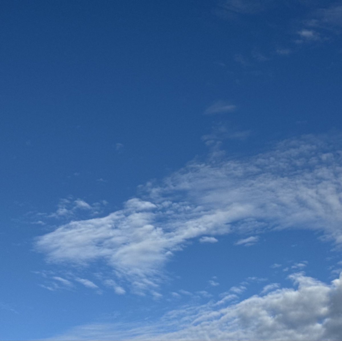 Newkame34's tweet photo. おはよーございます☀️
☀️イマ空☀️ https://t.co/laSTsYb93U