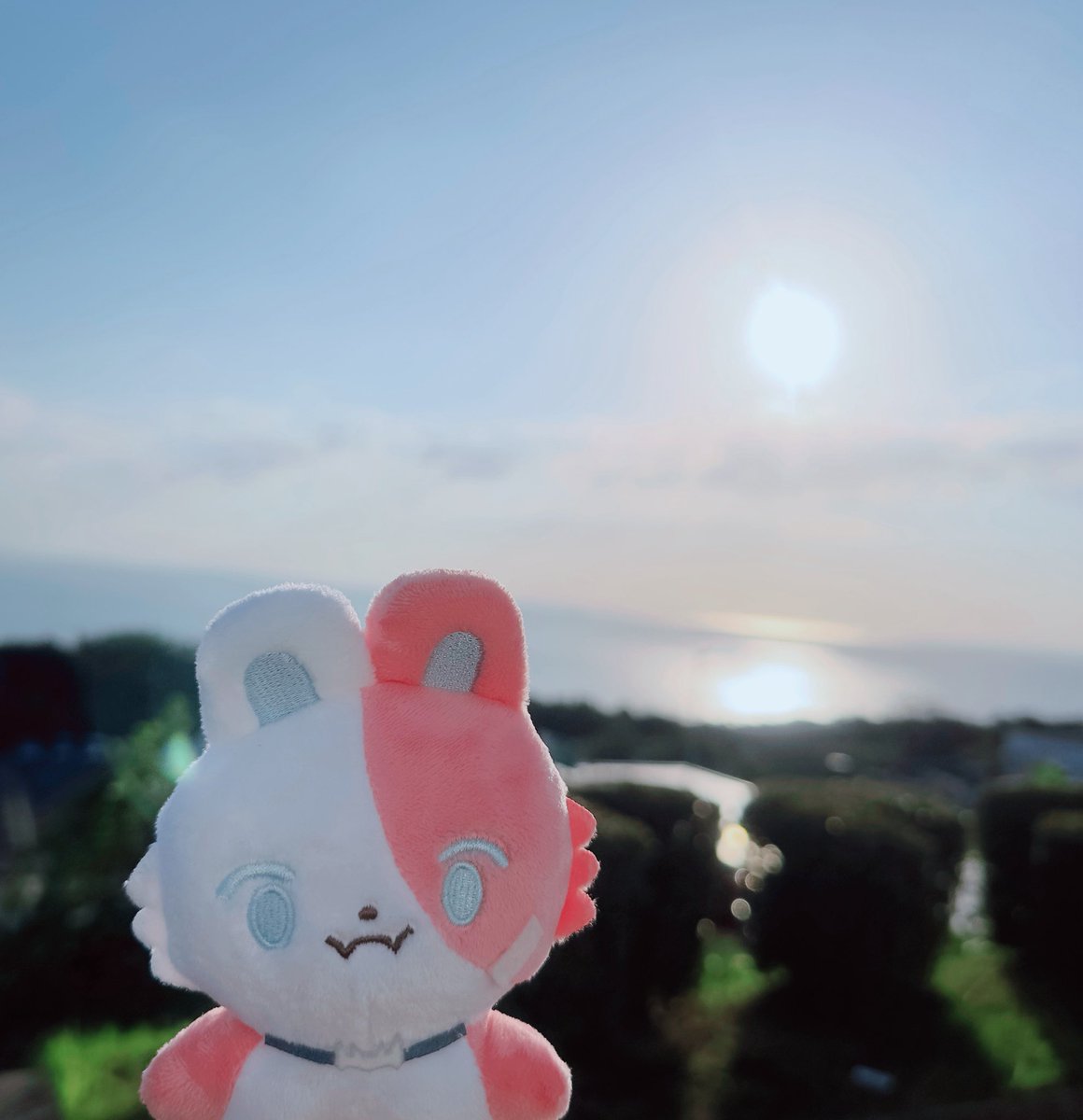mute_te12's tweet photo. ご覧　海ぞ https://t.co/EmvlZF9R0H