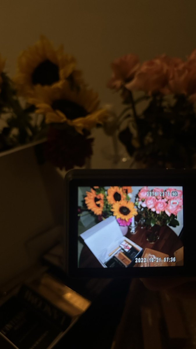uapill's tweet photo. A little sunflower! 
     forever blooming in my memories 
          🌻💌 https://t.co/NKWdhbudMk