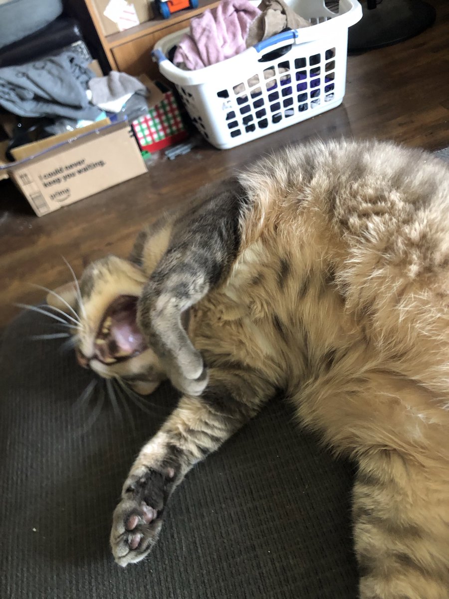 CBHelper's tweet photo. I know it’s Earth, Wind, and Fire day but also it’s my son Chum’s birthday. Everyone say Happy Birthday to him RIGHT NOW https://t.co/DtzGrnTkV4