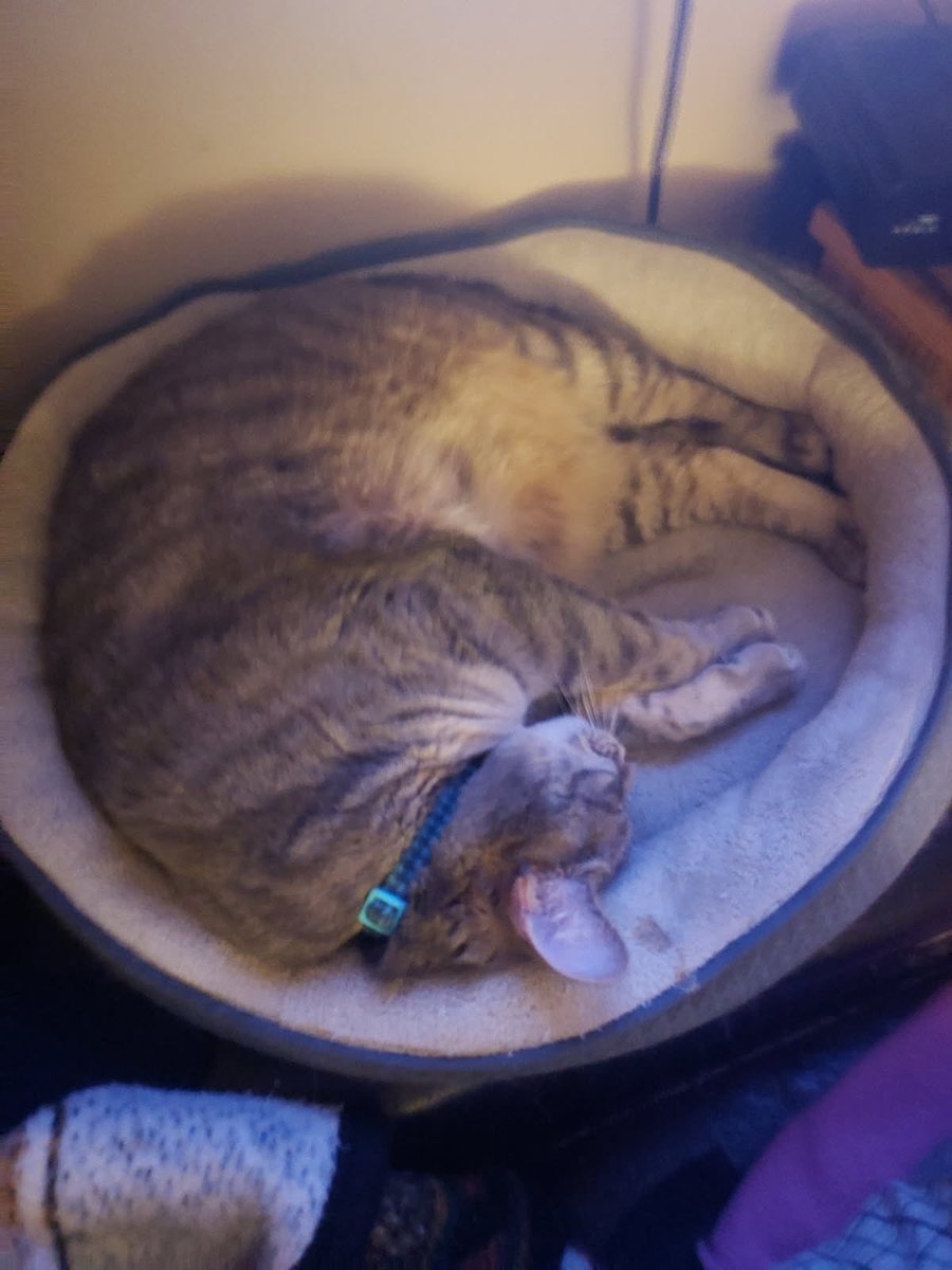 CBHelper's tweet photo. I know it’s Earth, Wind, and Fire day but also it’s my son Chum’s birthday. Everyone say Happy Birthday to him RIGHT NOW https://t.co/DtzGrnTkV4