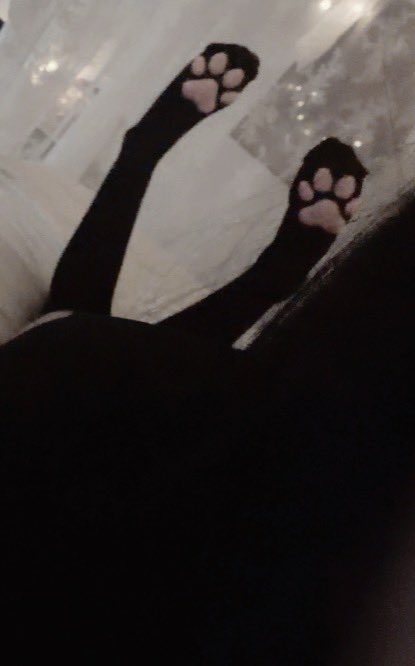 xsemiis's tweet photo. cute ^^ #pawsocks https://t.co/6QkIpx5LFc