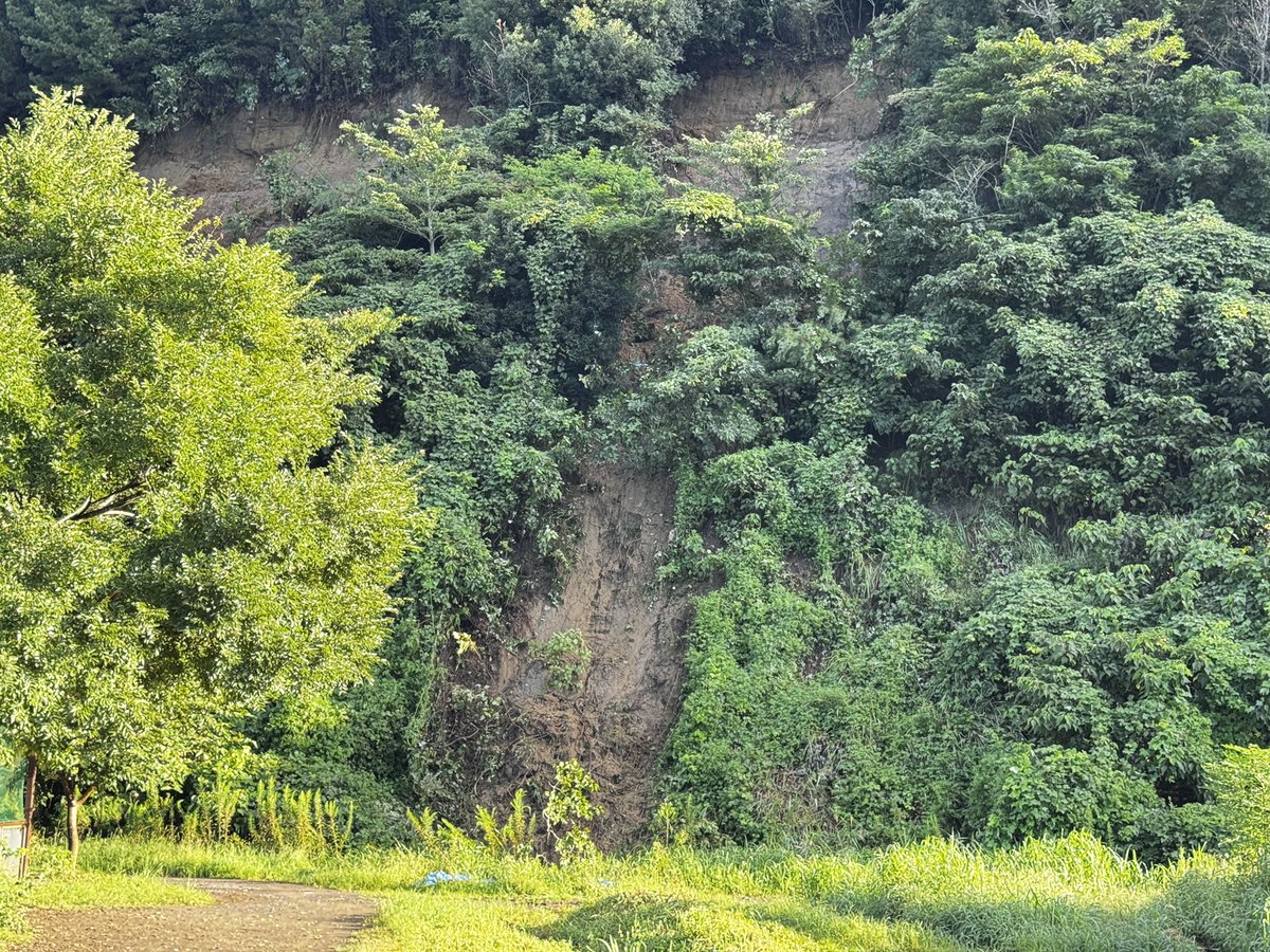 sode_fure's tweet photo. 縁長です
昨日の大雨で縁内の崖が崩れてしまいました
動物たちは大丈夫です
まだまだ土に水を含んでいてさらに崩れてしまう可能性があるため今日は休縁です https://t.co/ozwjO996NP