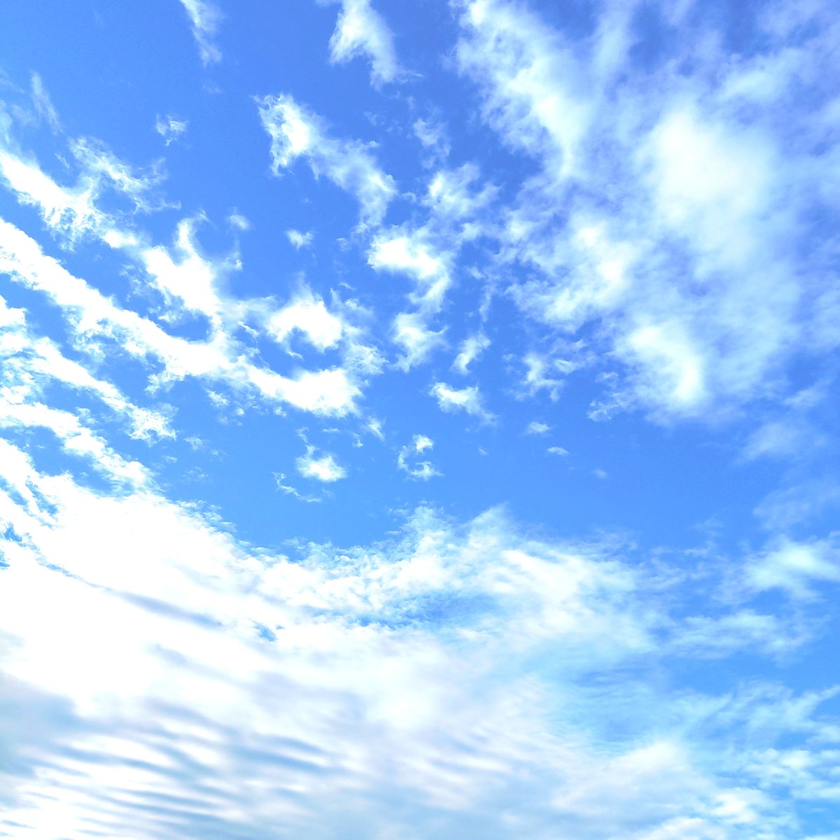 ss_violala's tweet photo. 台風一過のつくば市の青空。
こどもの頃は、ニュースで聞く度、どういう家族やねん！って思ってたよね😅 https://t.co/ky9BzQTmDA