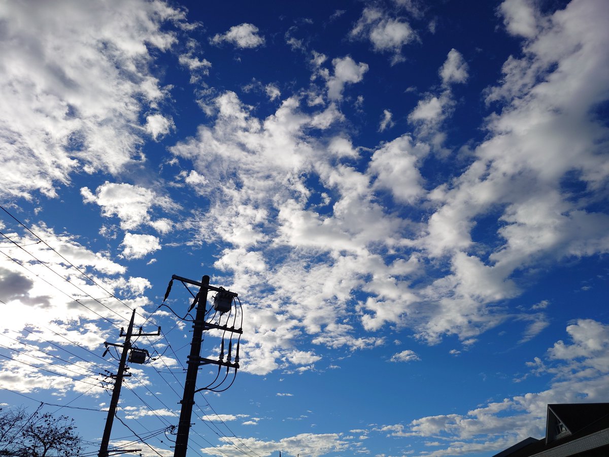 0826_anpi_'s tweet photo. おはようございます　🌤️
台風一過

#イマソラ https://t.co/S4opW47KvK