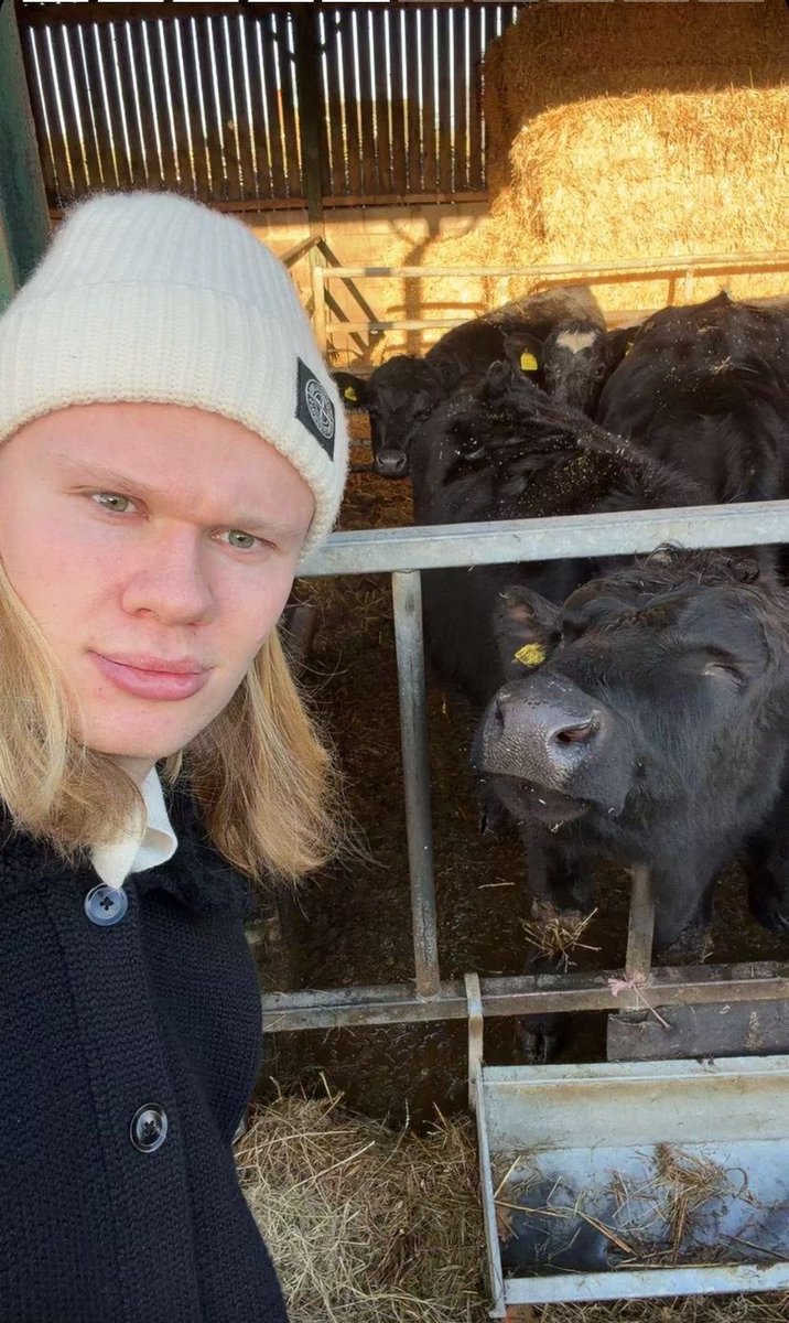 Bariewnaed's tweet photo. #Haalingham socmed au - Bellingham brothers are rich spoiled brats, Jobe is a manwhore with 3 bfs and Erling is a farmboy they all also are content creators cause why not
My first ever socmed fic🤭 https://t.co/5nnwbQU60z