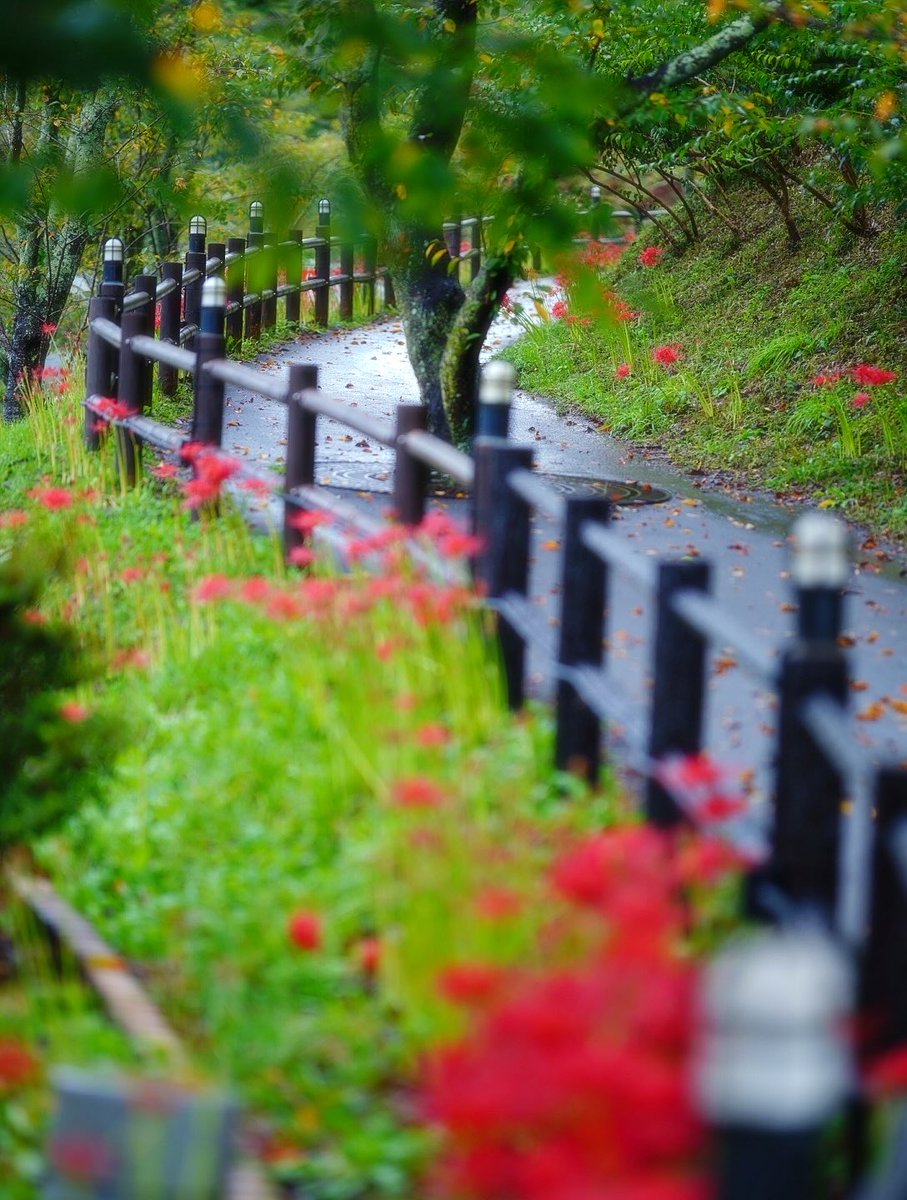hya_photo's tweet photo. はじめしての船岡📸
 #ぶらり旅 https://t.co/TAN5jAhdai