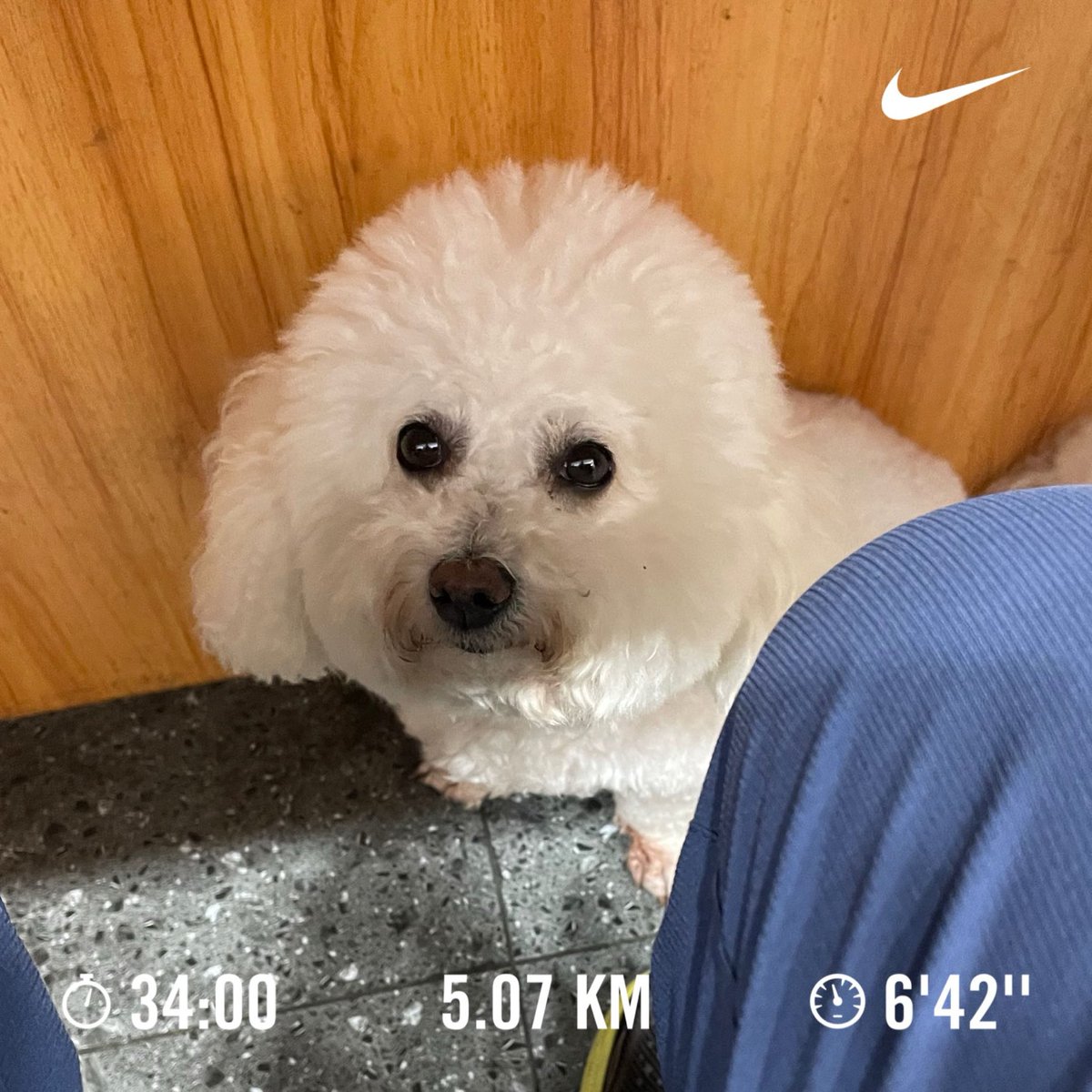hideymc63h's tweet photo. おはよーございます
なかなか朝焼けに出会えない日が続いていますが、今日も通常営業で参ります よろしく
#朝ラン #weekendrunner
昨夜はいつものお店で一杯、いや三杯やってきました。看板娘のだんごちゃんともしっかり仲良しです https://t.co/cA57g1S1Ki