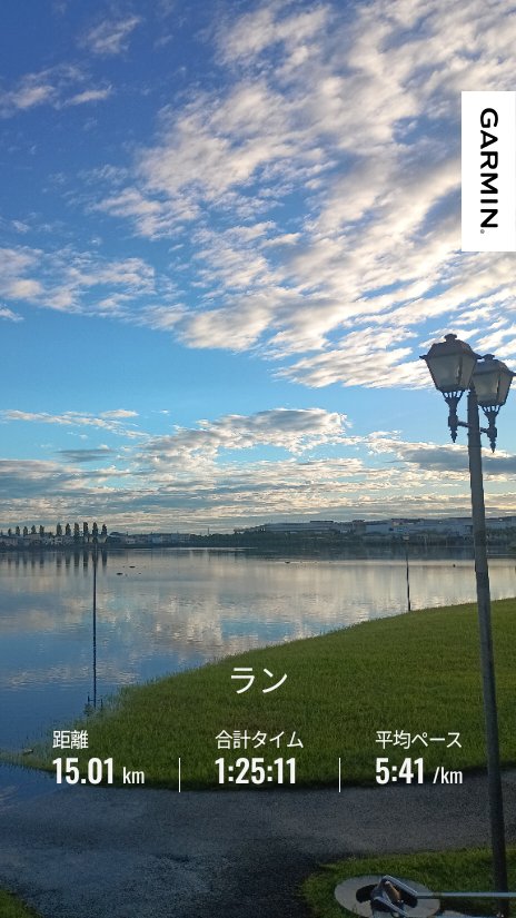 murasakiusagi99's tweet photo. 台風明け早朝ラン
レイクタウンぐるぐる
池の遊歩道は水没 https://t.co/bPKfWc4Zm6