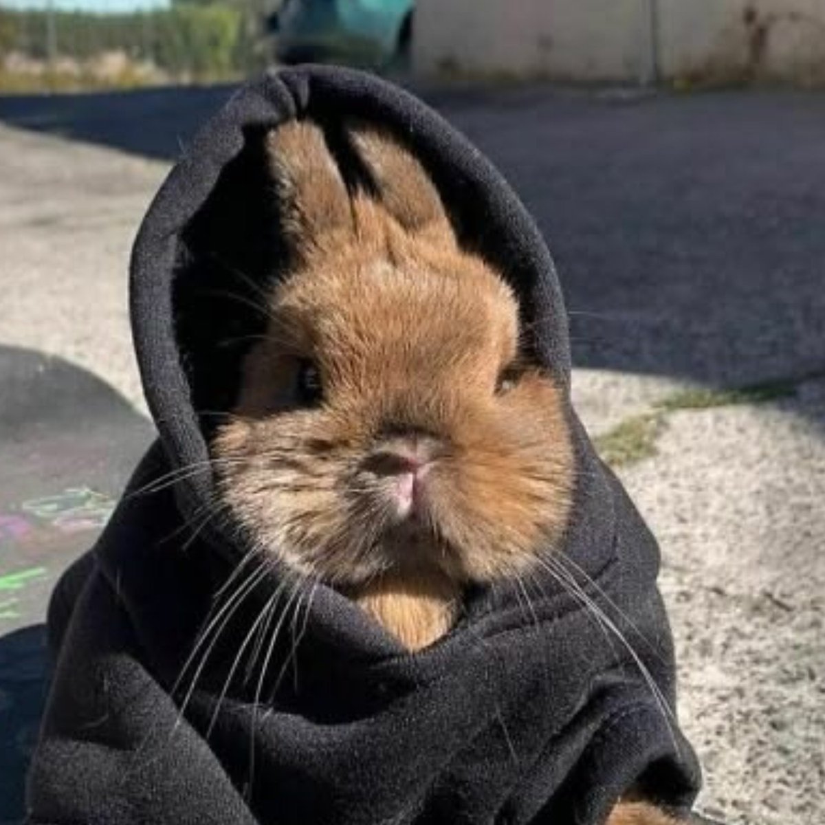hollanbun's tweet photo. look at these pictures of shane i found https://t.co/wCcbFQDwYq