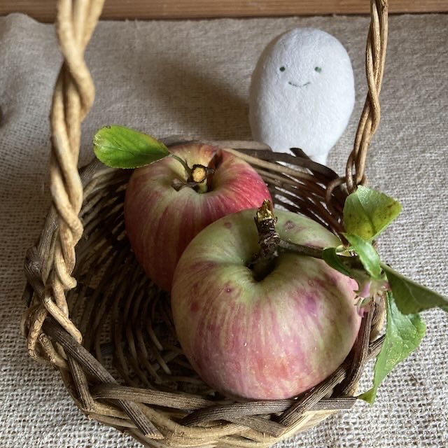 itok0's tweet photo. りんごがなりました🍎 https://t.co/GueWdxH0L3