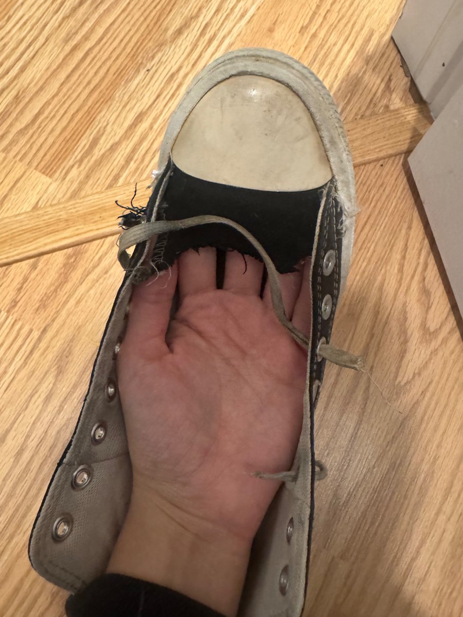 oliolinomi's tweet photo. O jeito q minha cachorra comeu meu all star na mesma semana da discussão sobre a converse fazer marketing pra nazista pqp até os cachorro é woke nessa casa https://t.co/CHS4AUZefa