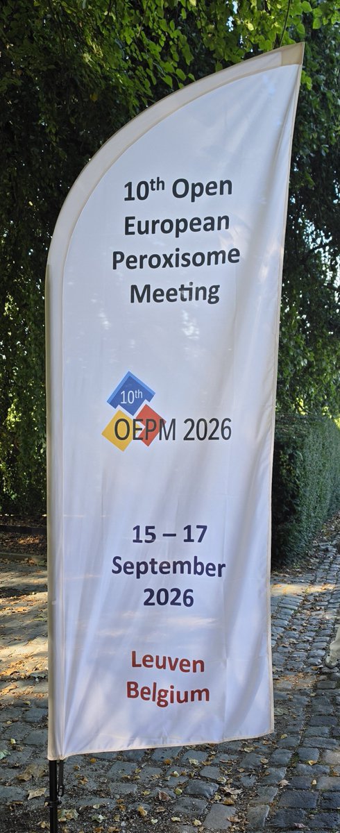 chenxing_j's tweet photo. Had a great time at the 10th Open European Peroxisome Meeting #OEPM2026 in Leuven! 🇧🇪
Great to present my #zebrafish work on peroxisome–organelle contact sites and hear about the exciting new directions the peroxisome field is heading in!
#Peroxisomes #CellBiology
#ContactSites https://t.co/UAraX5Efng