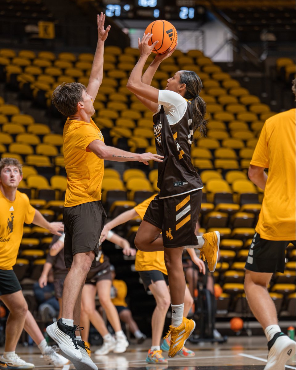 wyo_wbb's tweet photo. Officially back in the gym 🗣️ https://t.co/PJa9DZzGhL