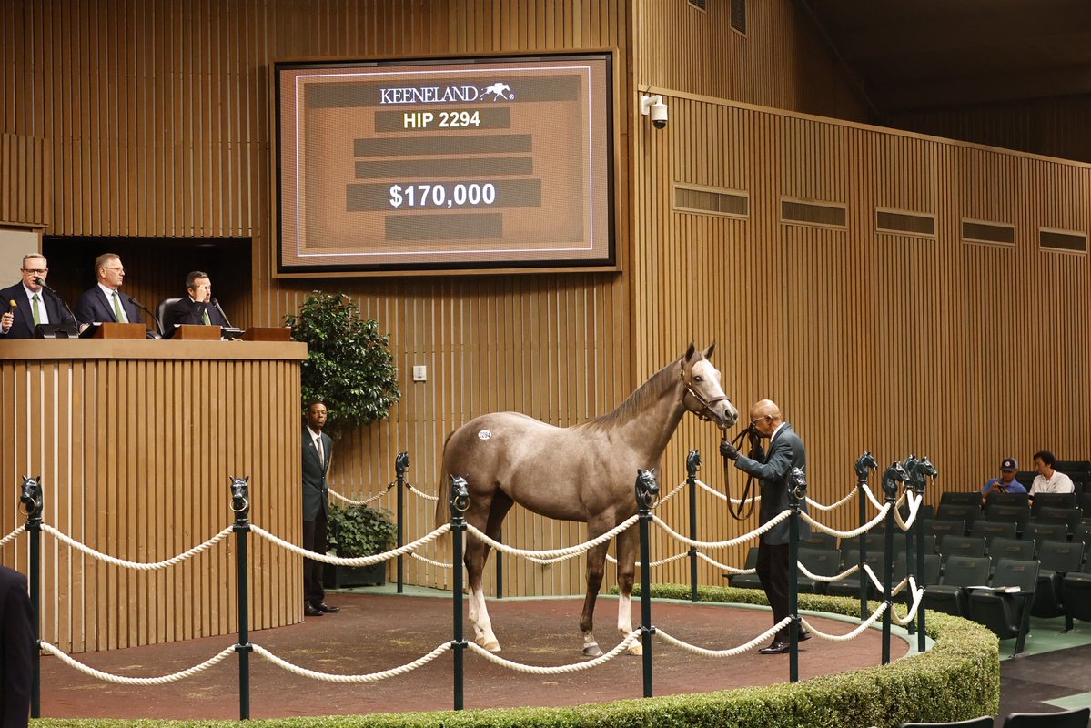 Three_Chimneys's tweet photo. VOLATILE’s hip 2294, a gray or roan colt consigned and bred by @Frankfortpark, and a half-brother to Stakes winner Baby Max, sells for $170,000 to Gray Lamb!
#Volatile #ThinkFast https://t.co/BvGiDOGe4q
