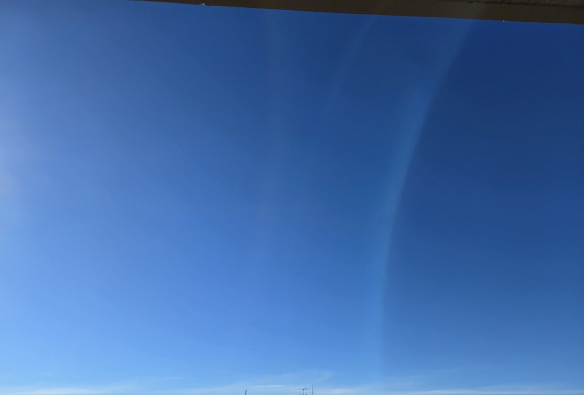 ticotico_tack's tweet photo. 台風一過
めっちゃいい天気 https://t.co/i9XJ4KypEt