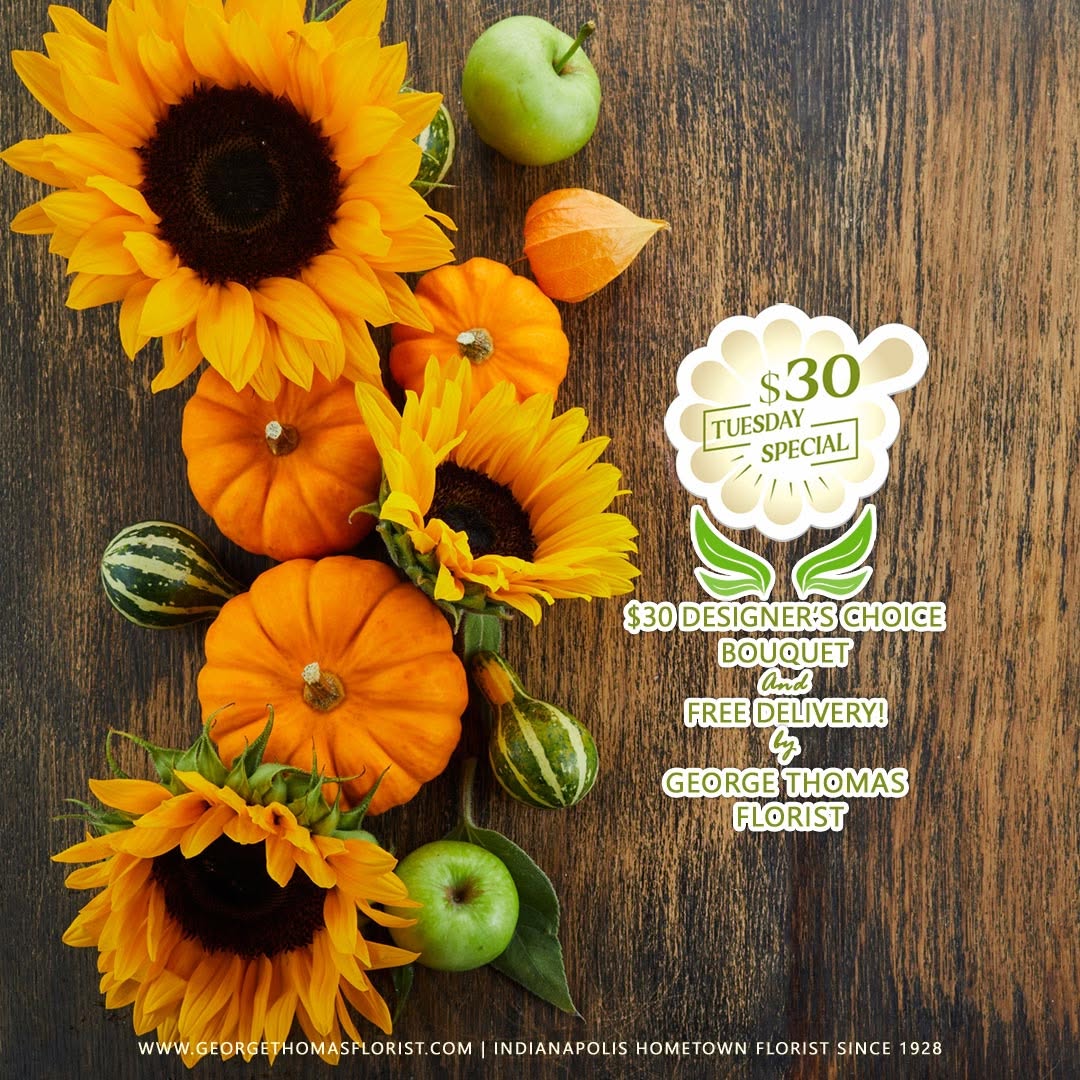 IndyFlorist's tweet photo. 🍂 A Little Fall Happiness for $30. 💐
Fall is officially here, and what better way to start the season than by making someone’s Tuesday a little warmer, brighter, and more beautiful?
Our $30 Tuesday Special is back with fresh flowers, thoughtfully arranged and beautifully wrapped for just $30.
Send them to a friend who could use a smile. Surprise someone you love. Brighten a coworker’s day. Or bring a little fall happiness home for yourself.
Because sometimes the smallest surprise can completely change someone’s day. ❤️
Order here: https://t.co/p6k4x2WP57
Offer valid for Indianapolis flower delivery only. Delivery available on Tuesdays, while supplies last.
#30Tuesday #TuesdayFlowers  #IndianapolisFlorist #IndianapolisFlowers #GeorgeThomasFlorist