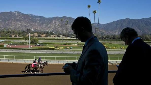 Quigleys_Corner's tweet photo. Media Guide for upcoming 2026 Autumn meet @santaanitapark now available online here: https://t.co/qgLitVLSRJ https://t.co/7N5U4DWjpd
