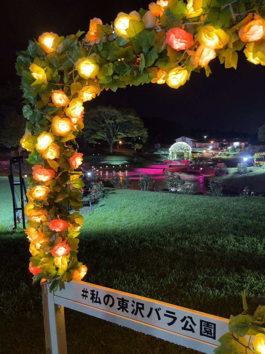 shakuranoko's tweet photo. 昨日は母と #東沢バラ公園 へ行ってきました！

9/27まで秋のバラまつり開催中✨️
ライトアップでバラがエモく照らされていて、幻想的な空間でした🌹🩵🪽

素敵な夜のお散歩だったなり🚶‍♀️ https://t.co/5DvAZ0vfFs