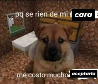 greyshark77's tweet photo. @elnourdsito345 es este we https://t.co/kKgAWNYB2O