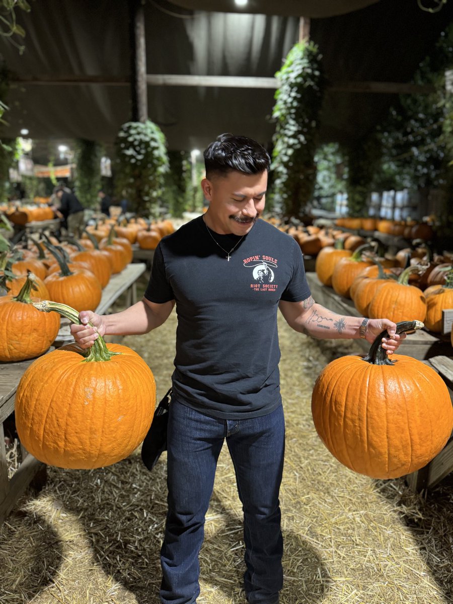 toughpapi's tweet photo. Hey pumpkin 🍂 https://t.co/FhtOYSRXhQ