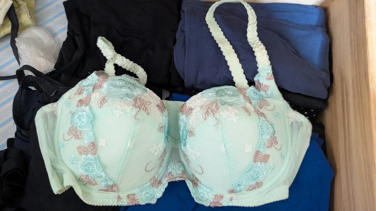 DSK28183263's tweet photo. 妻の下着コレクション③
薄い緑に刺繍、この頃か妊娠前によく見かけた下着です。

#妻晒し　#嫁晒し　#NTR 　#下着 https://t.co/2TbscMSNQ1