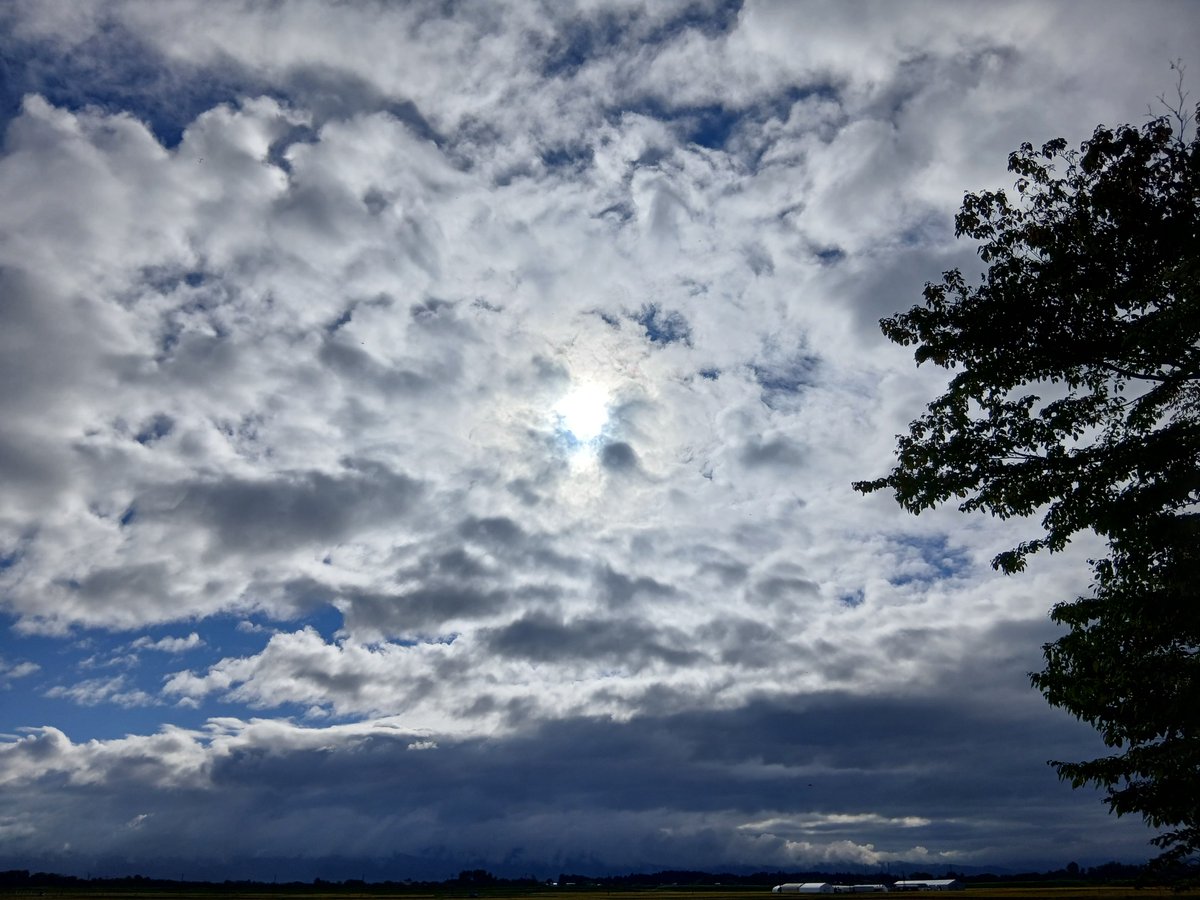 hanatare79's tweet photo. おはようございます☁️

天気曇り　気温21.4℃　湿度94%
雲は多いけど時々晴れ間の見える朝です☺

シルバーウィークもあと2日。
特にいつもと変わらないですが
事故や体調不良には気を付けてお互い過ごしましょう！

#大仙市 https://t.co/9b1gbXk1fl
