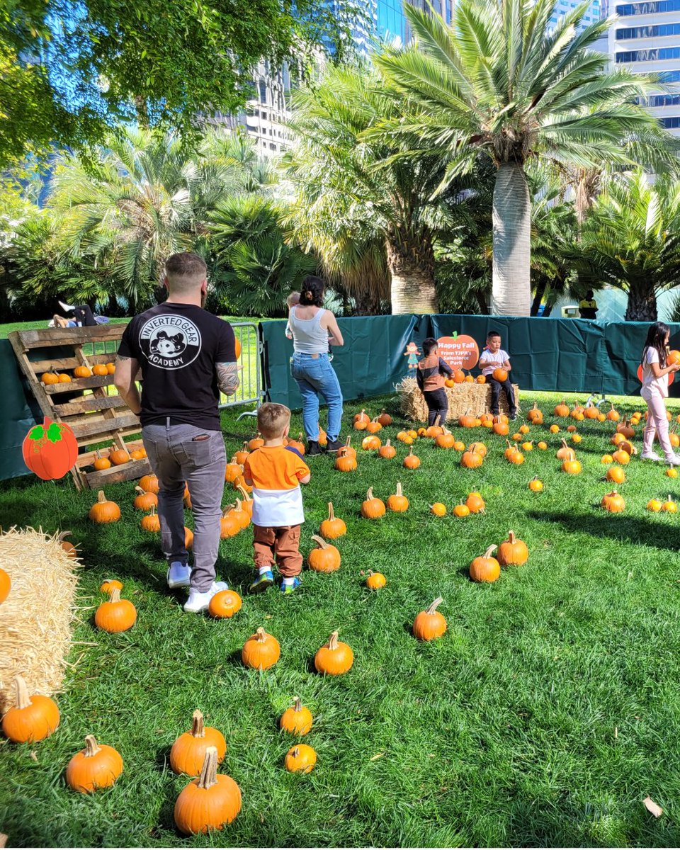 TransitCenterSF's tweet photo. Fall fun is coming to Salesforce Park! 🍂🎃

Join us for Harvest Fest on Saturday, October 3, from 2–5 p.m. 

This event is free and open to everyone, so bring your friends and celebrate the season with us in the park.

#SalesforcePark #SanFranciscoEvents #FreeSF #LiveMusicSF https://t.co/pQfOG31xvw