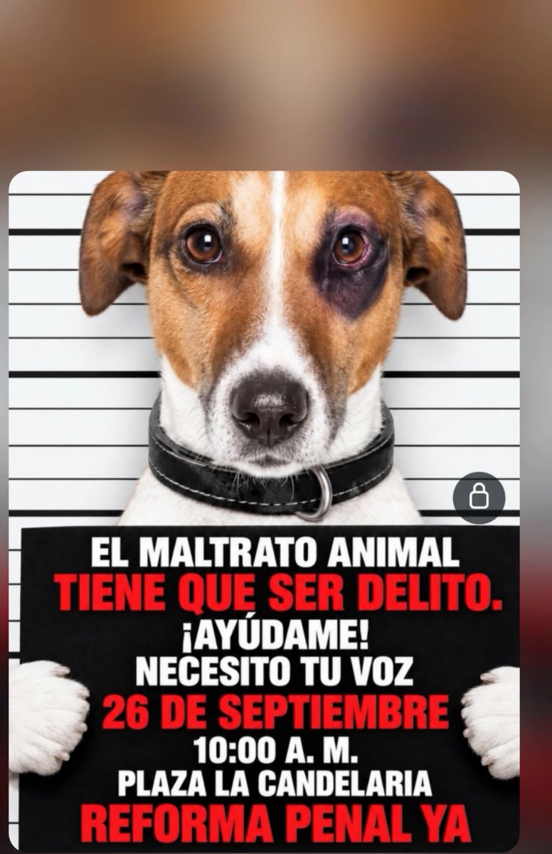 infinitoanimal2's tweet photo. Este 26 de Septiembre no debemos faltar debemos alzar la voz por los animales en Venezuela y exigir que se haga la reforma de la ley contra el maltrato animal cárcel para los matan y maltratan a los animales Difundir 🆘🐈🐕🐾RT  @PerroUsuario @gracon27 @Mary_Jar @NuriTrejo https://t.co/KtrxyV6qIW