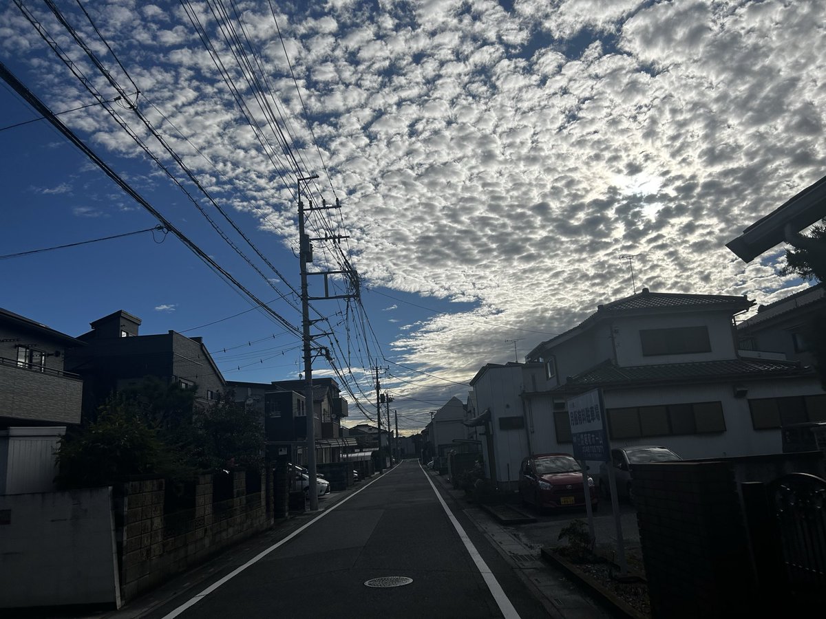 Kiyomiux's tweet photo. 台風一過の青空。
雨で世界が洗われてきれいになったような。 https://t.co/plBMGEQlIB