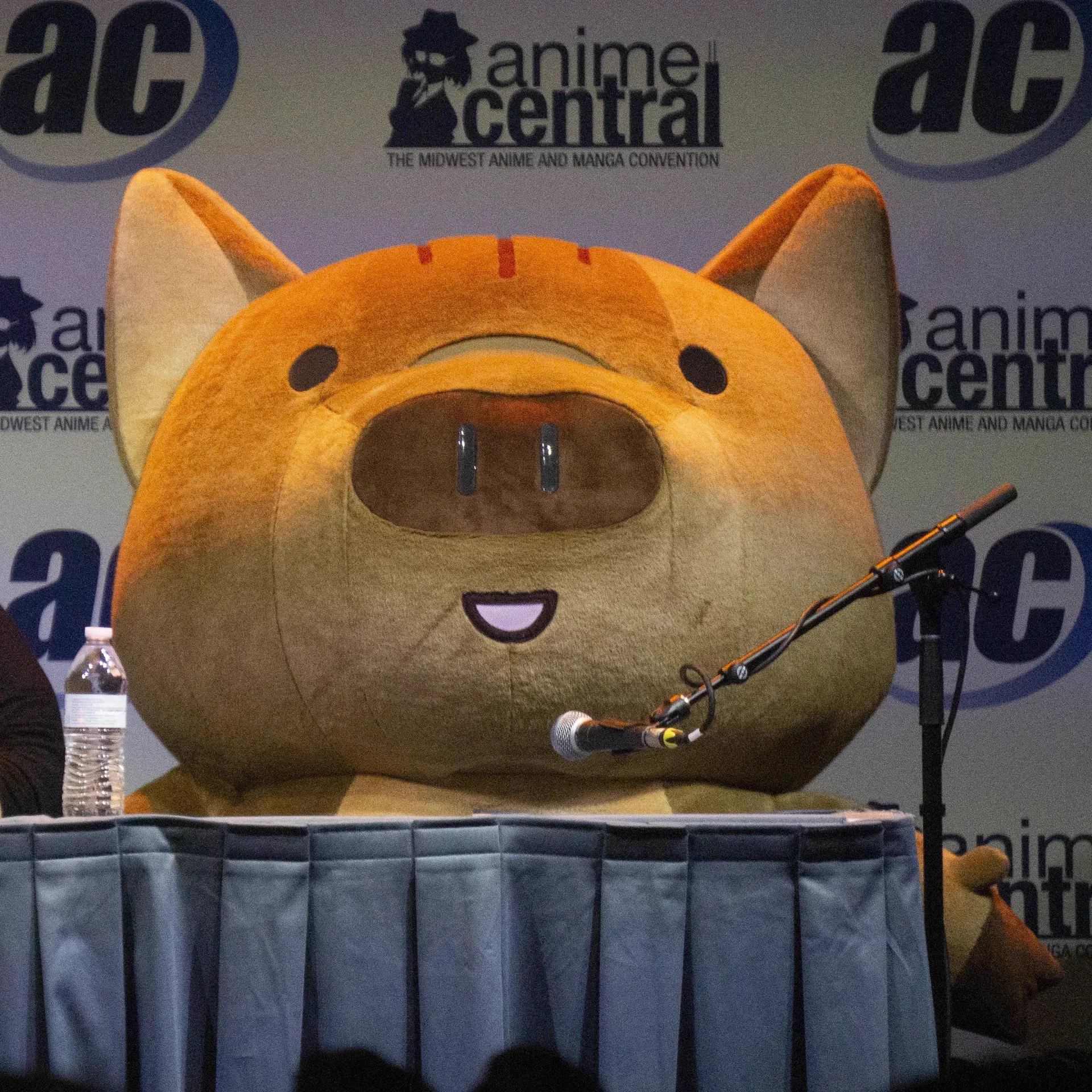 Josh on X: "@AnimeTokki I love that she dresses up in a bear costume at ...