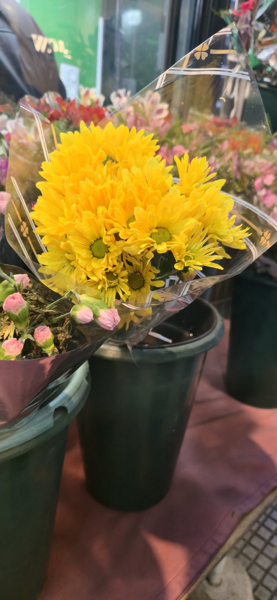 Aki_Kaneto's tweet photo. Pq andan todos con flores color piel🤨? https://t.co/33D8iMZTIX