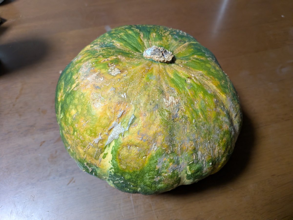 payashing's tweet photo. ブサイクがイケメンになった https://t.co/nAl33elbWD