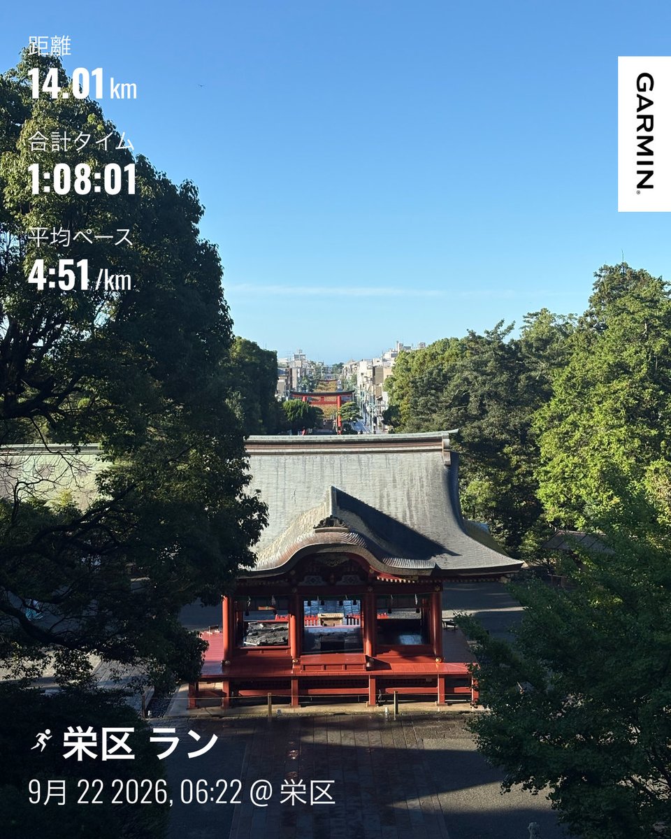 runbase's tweet photo. 台風一過の朝ラン。昨日冠水してしまってしまった若宮大路も水が引いた模様。雨上がりのものすごい湿気と急上昇する気温でふらふらだった💦 https://t.co/XMsyLgmFMQ