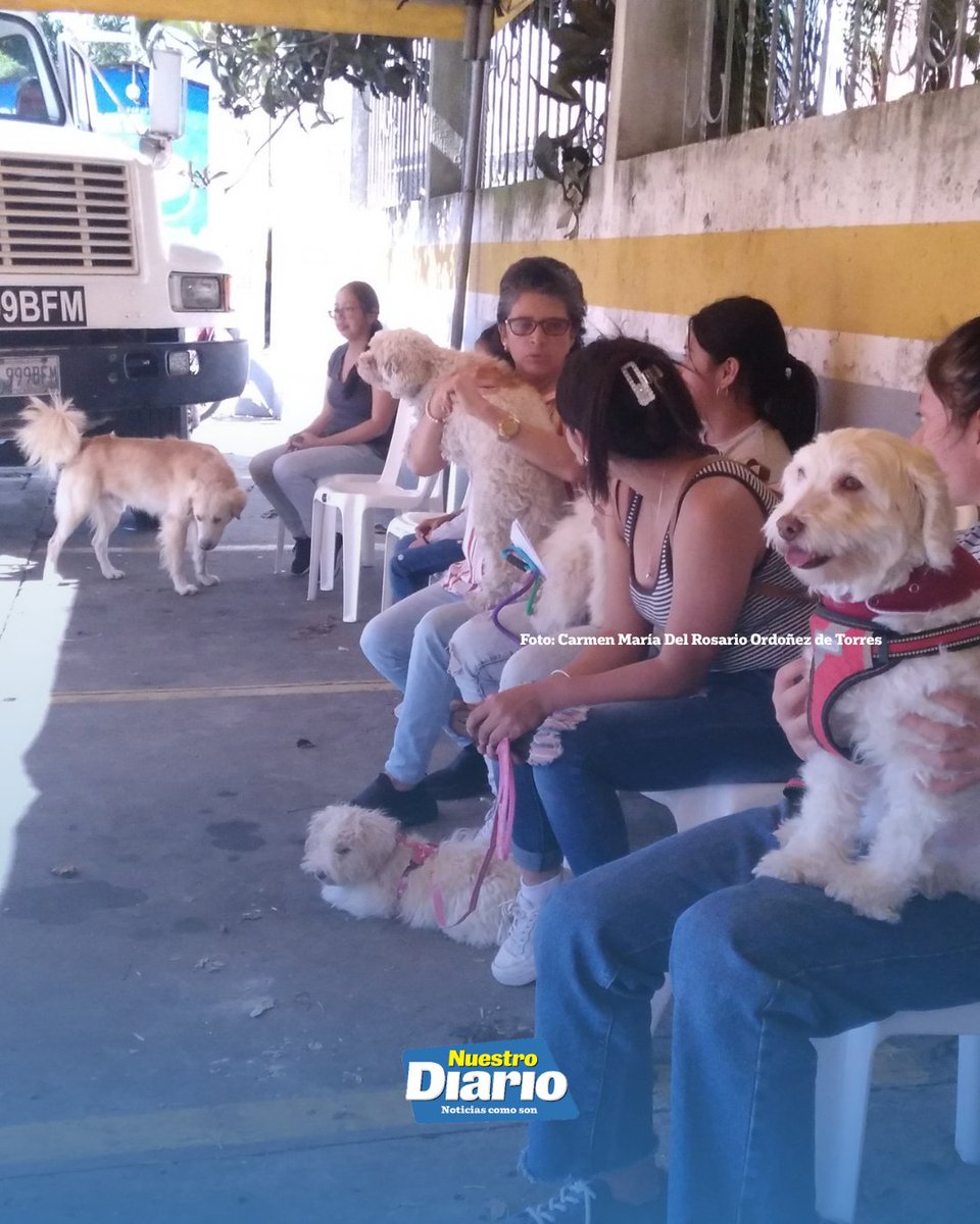 NuestroDiario's tweet photo. 🐶🐱 BUSCAN HOGAR PARA MASCOTAS BAJO CUIDADO DEL CMAA 🐶🐱 

El Centro Municipal de Atención Animal (CMAA), de Santa Catarina Pinula, cuenta actualmente con 32 perros y gatos bajo su cuidado. Algunos están en recuperación, pero otros ya se encuentran disponibles para ser adoptados.

Las mascotas disponibles han recibido atención veterinaria, vacunas y desparasitación. Para iniciar el proceso, los interesados deben llenar un formulario y pasar por una calificación. Para más información pueden comunicarse al 3385-5656.

#NuestroDiario, noticias como son. 📰
#FamiliaND