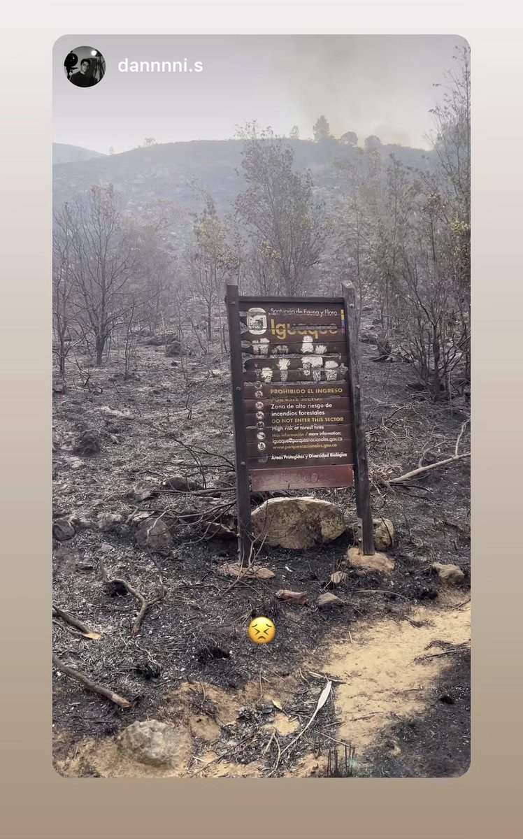 alejocalder0n's tweet photo. Se quema el Santuario de Fauna y Flora de Iguaque, Arcabuco, Boyacá https://t.co/m3DQB74DEn