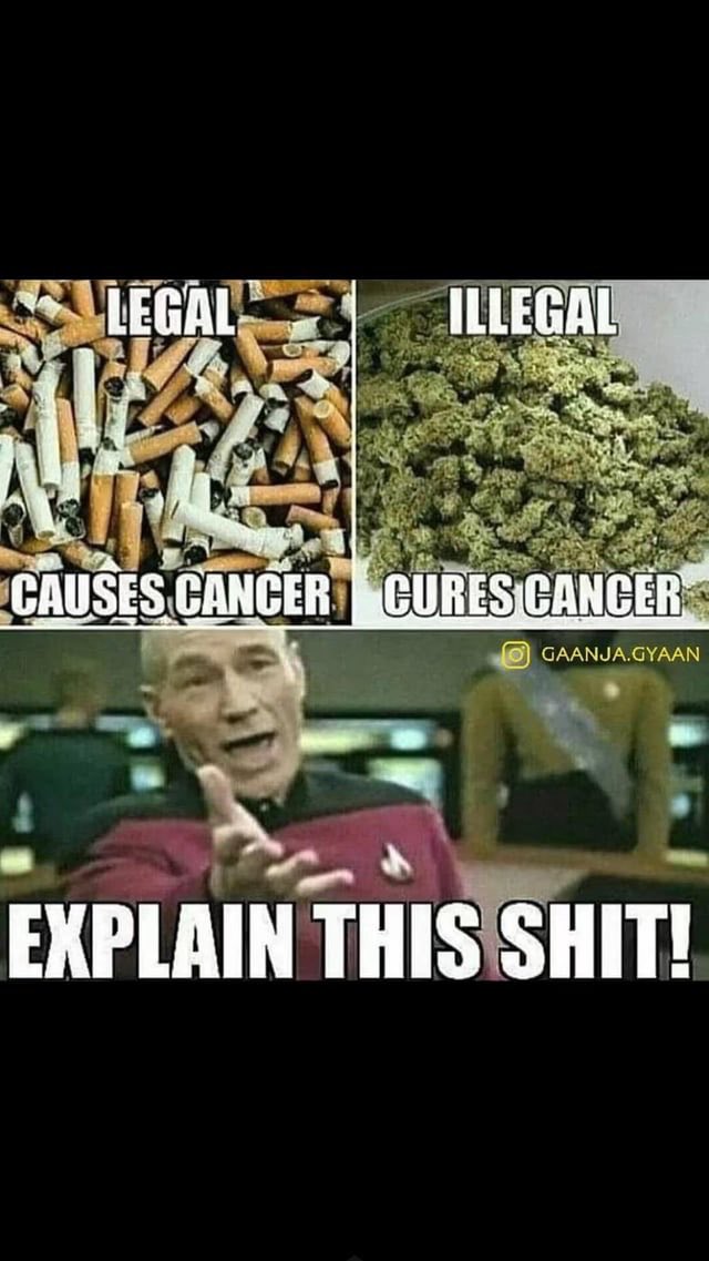 eliangm83's tweet photo. Anyone else high af? https://t.co/ZxFmvgV68T
