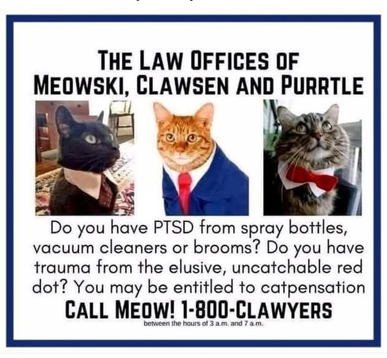 DaddyisBest's tweet photo. For justice, the Feline way... https://t.co/Qv6sro7iUm