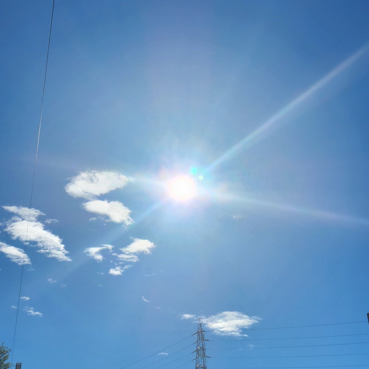 Go_More_Hit's tweet photo. 台風一過で真夏の太陽☀️
ジメジメしてない風が心地いいね😊
ただ、急激な気圧変化のせいで頭痛いのは通常運転w
今日は学生時代の友人と出かけてきます🚗 https://t.co/m2mifLNkAe