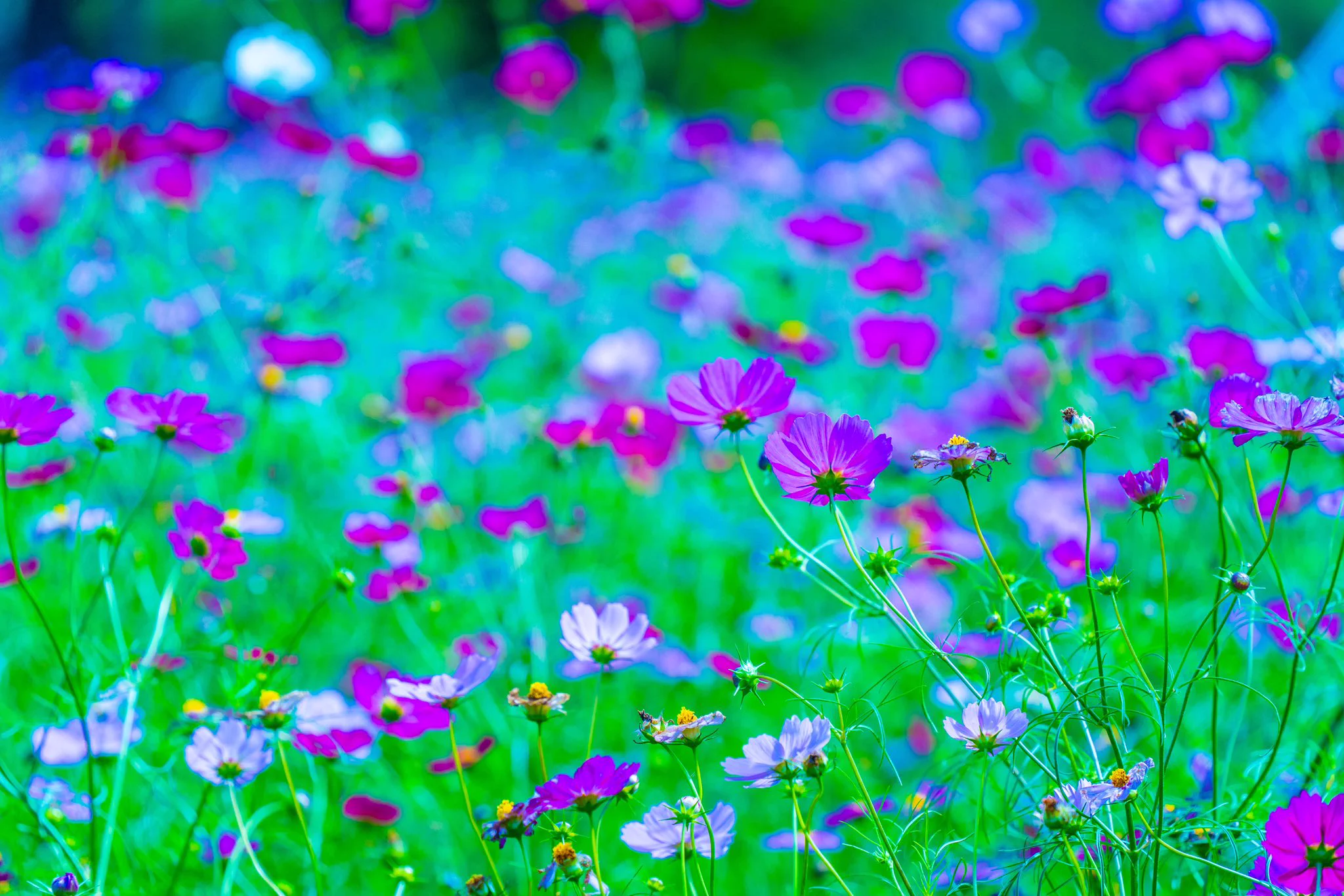 kemool@愛知県 on X: 