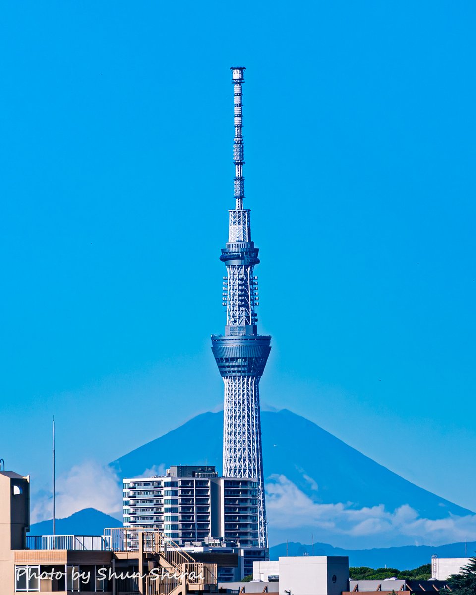 JUN1785's tweet photo. ■タイトル：台風一過の富士山＆スカイツリー（9/22撮影）
■撮影スポット：市川市
■一言：けさは台風25号が去ってすっきり快晴で、富士山＆スカイツリーもくっきり✨️
こんなに綺麗な朝富士を眺めるのは本当に久しぶりな気がします。
台風が去ってホッとしますが、今日は気温が上がる予想なので熱中症には要注意ですね。

目前に迫った写真展の準備がまだまだ山積みなので💦今日も作業頑張ります！

©Shun Shirai – All Rights Reserved. No Unauthorized use my photo❢

Mount Fuji and Tokyo Sky Tree this morning, after the typhoon passed.
📍 Ichikawa City,Chiba Japan
📸 Sep 22,2026

#空 #市川 #千葉 #富士山 #スカイツリー #台風一過 #イマソラ #sky 
#photo_jpn #raw_japan #東京カメラ部 #nipponpic #zekkei_joyful #ちばとぴフォト部投稿